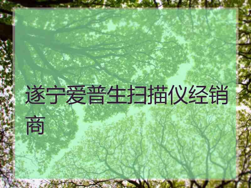 遂宁爱普生扫描仪经销商