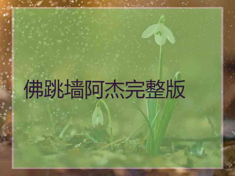 佛跳墙阿杰完整版
