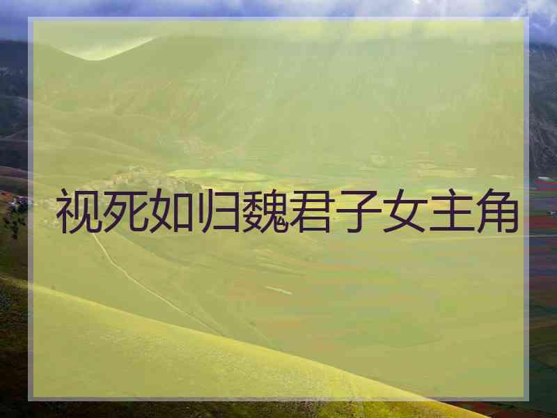 视死如归魏君子女主角