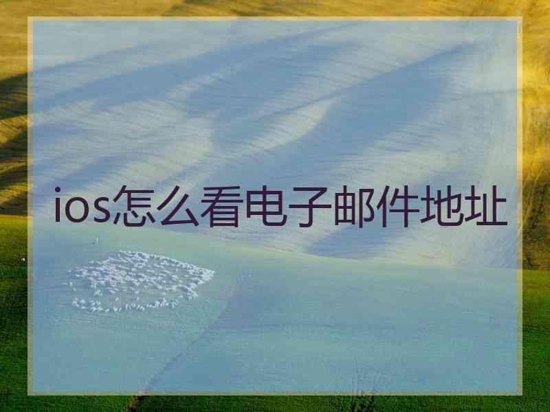 ios怎么看电子邮件地址