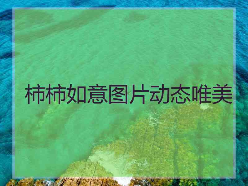柿柿如意图片动态唯美