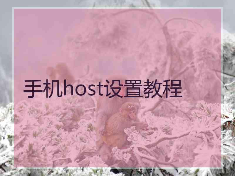 手机host设置教程