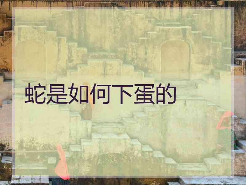 蛇是如何下蛋的