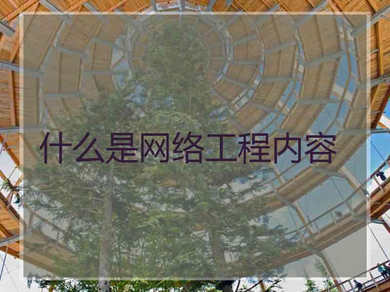 什么是网络工程内容