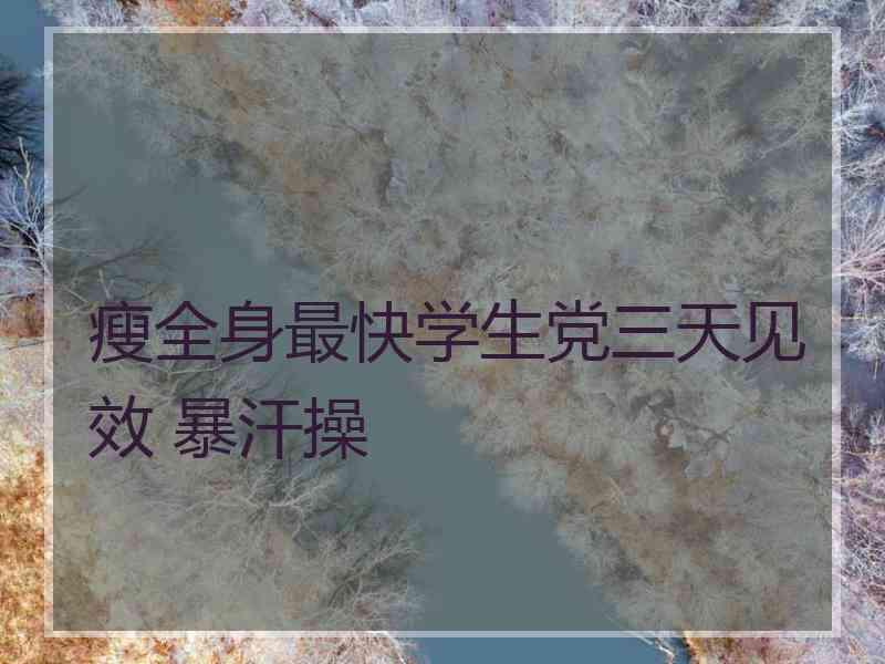 瘦全身最快学生党三天见效 暴汗操