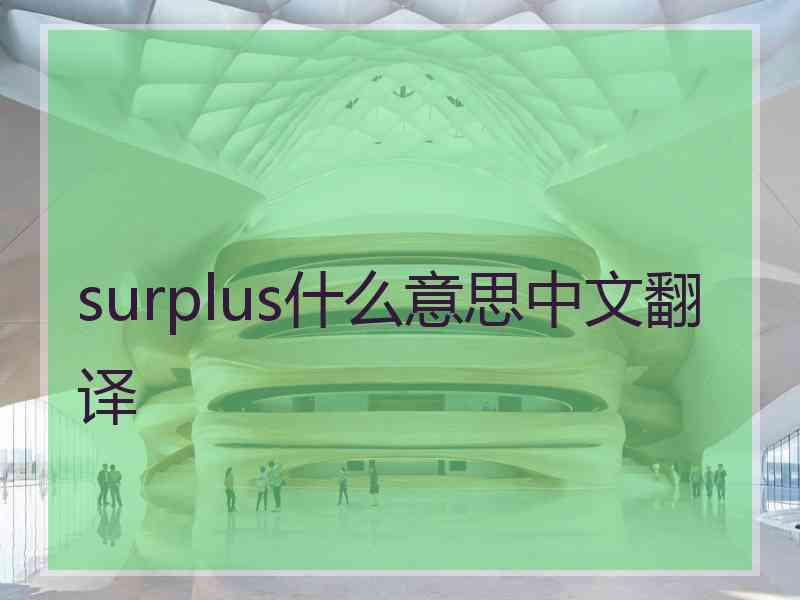 surplus什么意思中文翻译