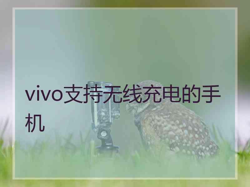 vivo支持无线充电的手机