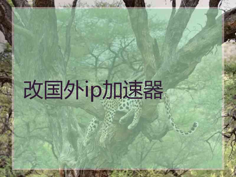 改国外ip加速器