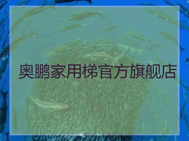 奥鹏家用梯官方旗舰店