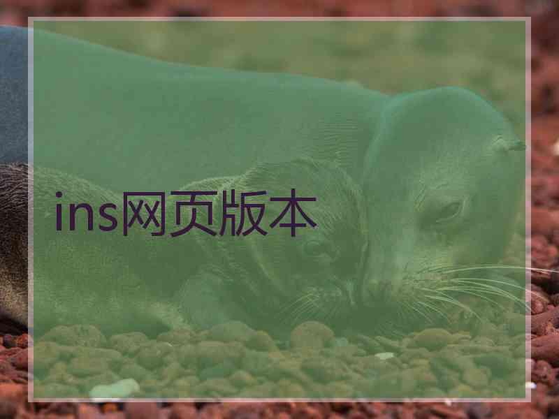ins网页版本