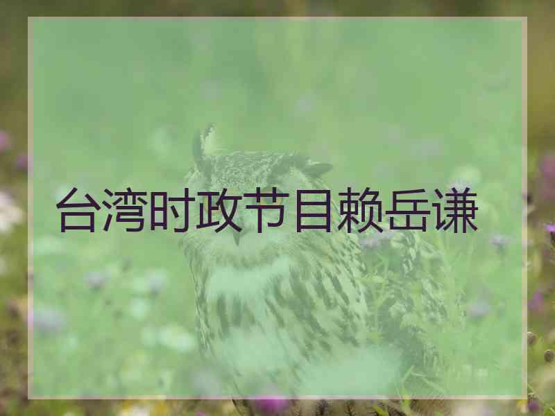 台湾时政节目赖岳谦