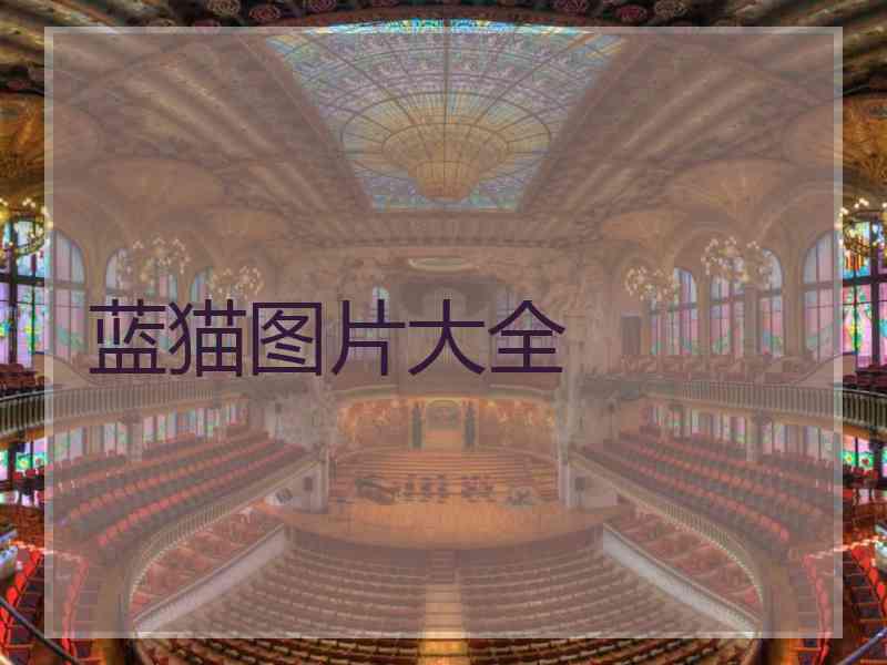 蓝猫图片大全