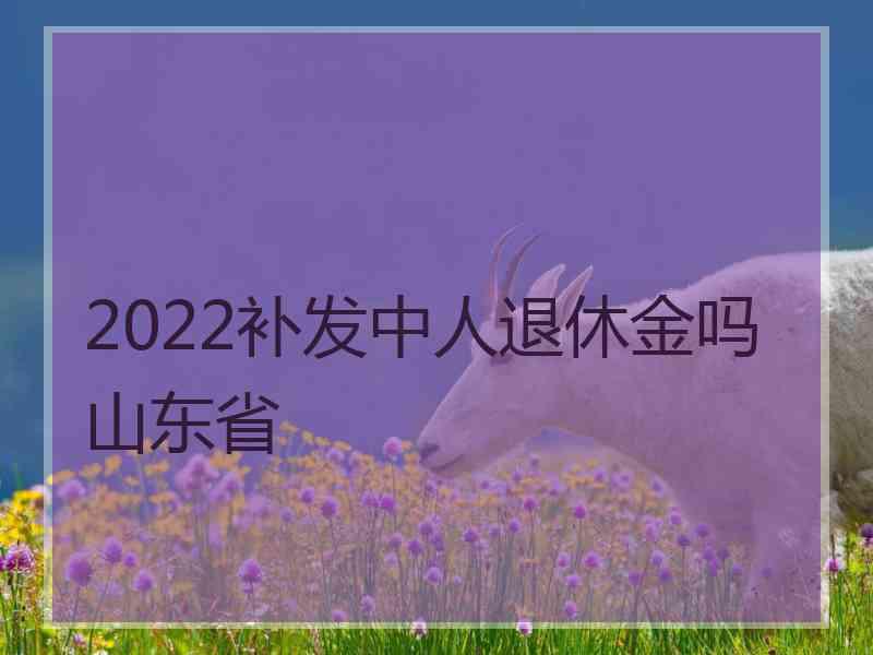 2022补发中人退休金吗山东省