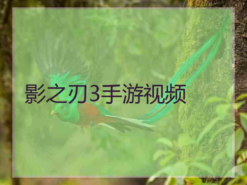 影之刃3手游视频
