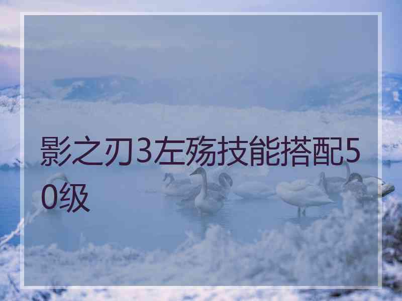 影之刃3左殇技能搭配50级