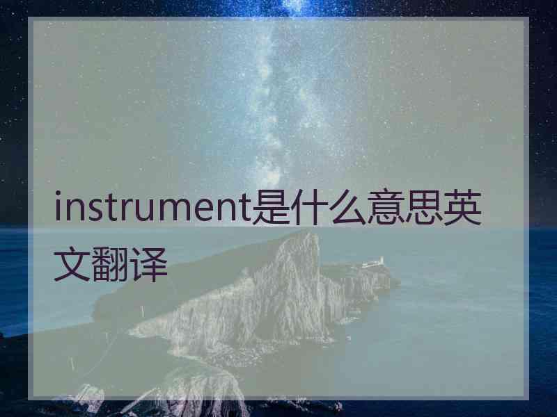 instrument是什么意思英文翻译