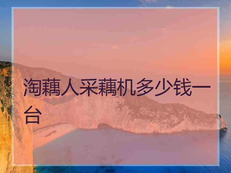 淘藕人采藕机多少钱一台