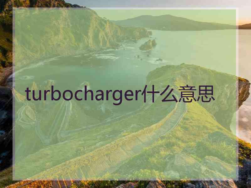 turbocharger什么意思
