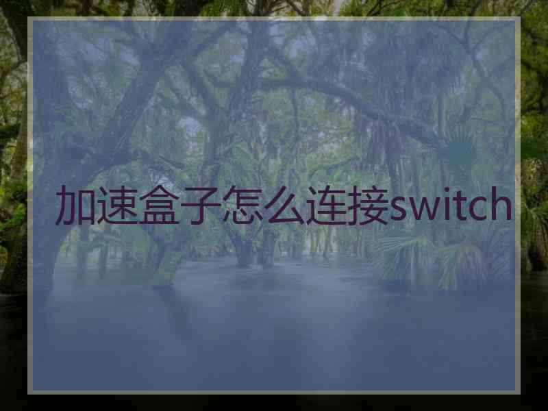 加速盒子怎么连接switch
