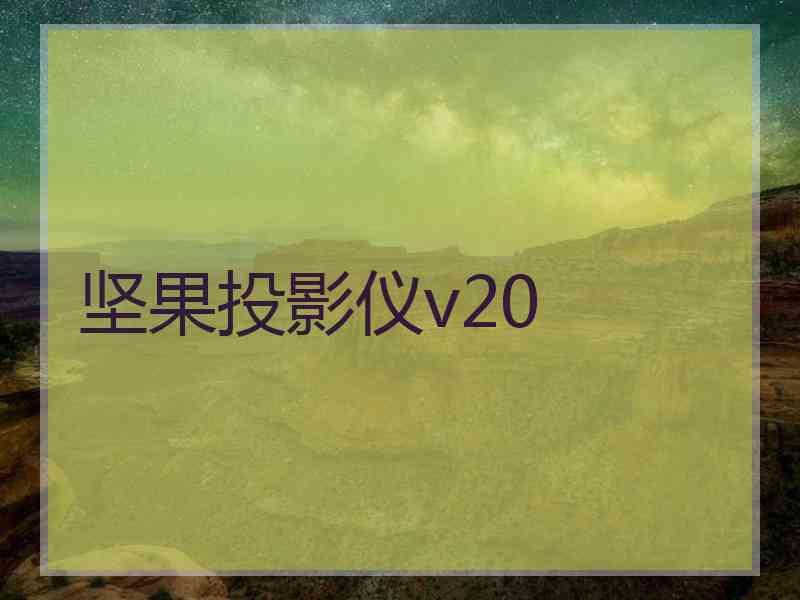 坚果投影仪v20