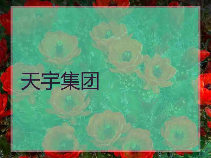 天宇集团