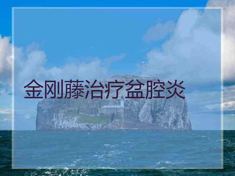 金刚藤治疗盆腔炎