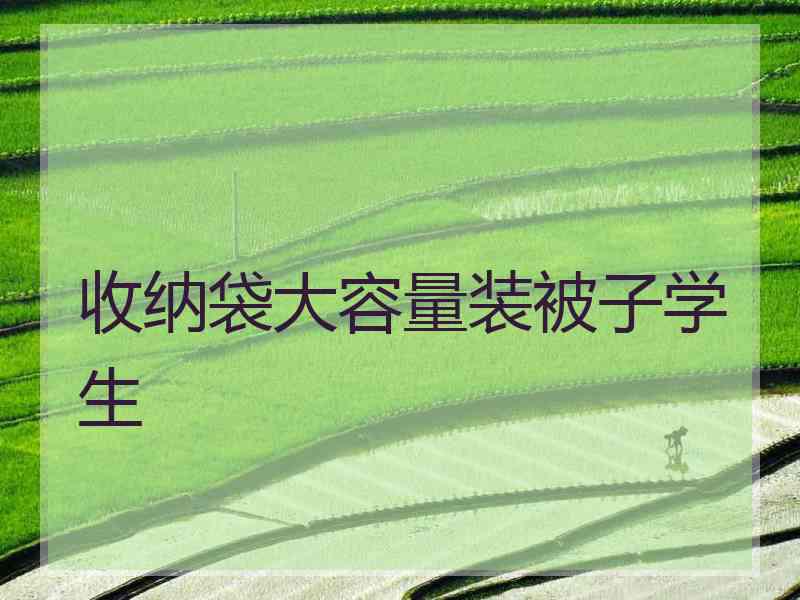 收纳袋大容量装被子学生
