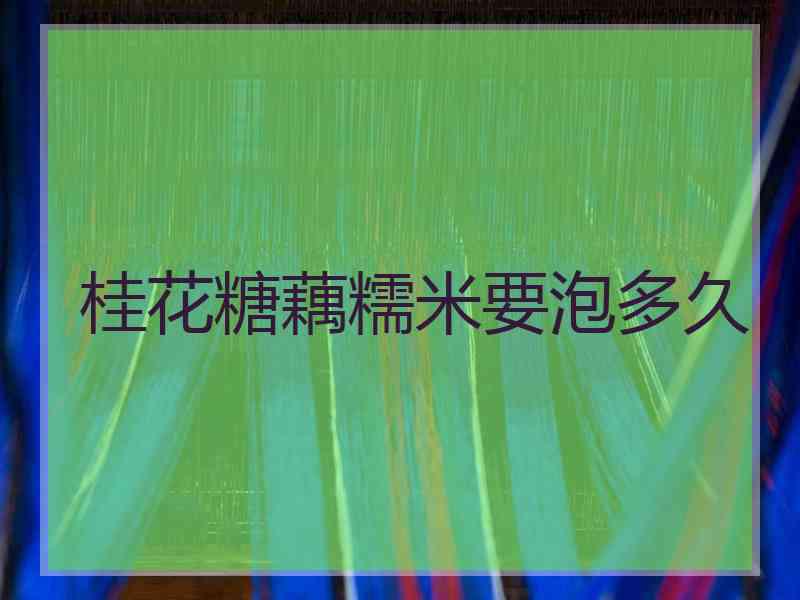桂花糖藕糯米要泡多久