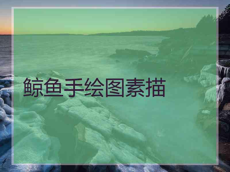 鲸鱼手绘图素描