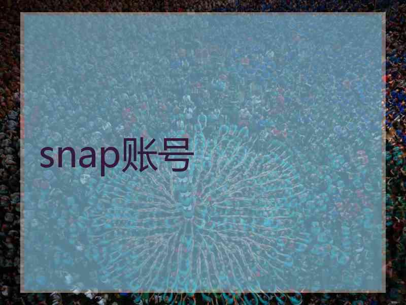 snap账号