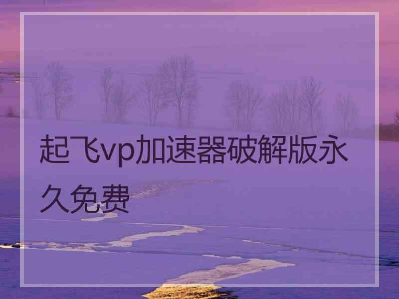 起飞vp加速器破解版永久免费