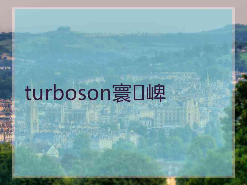 turboson寰崥