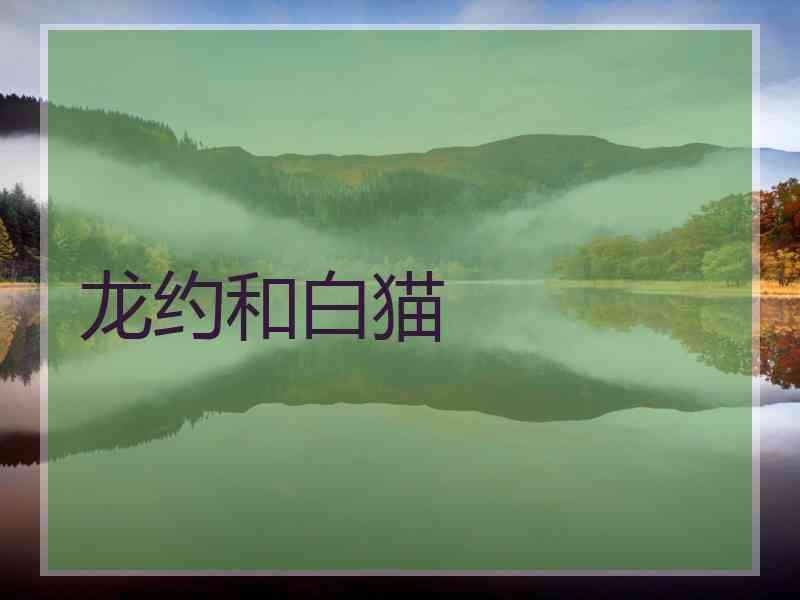 龙约和白猫