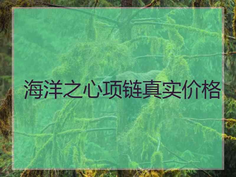 海洋之心项链真实价格
