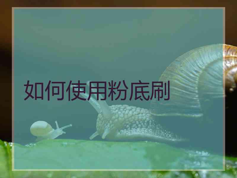 如何使用粉底刷