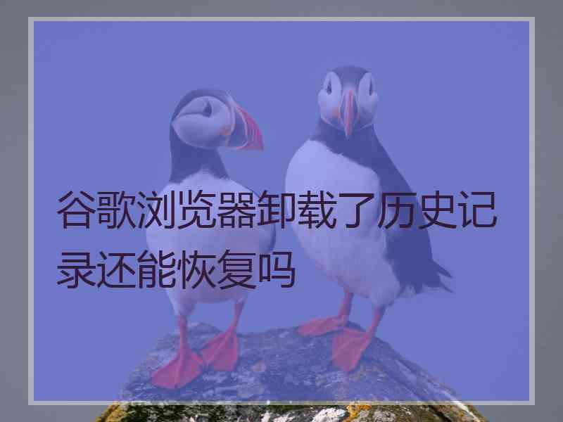 谷歌浏览器卸载了历史记录还能恢复吗