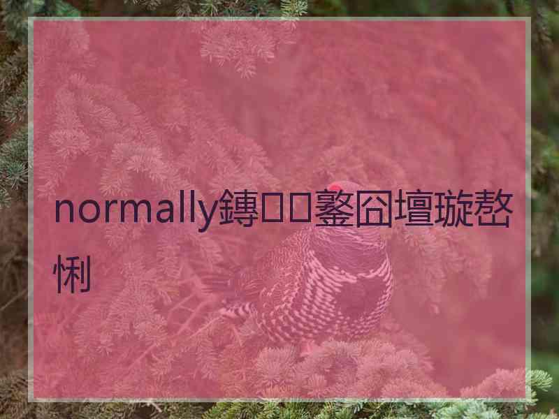normally鏄鐜囧壇璇嶅悧