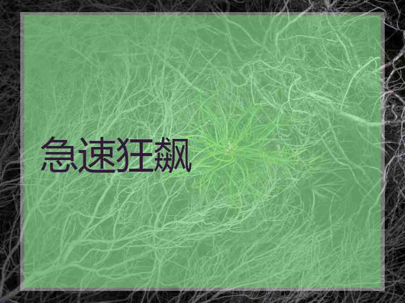 急速狂飙