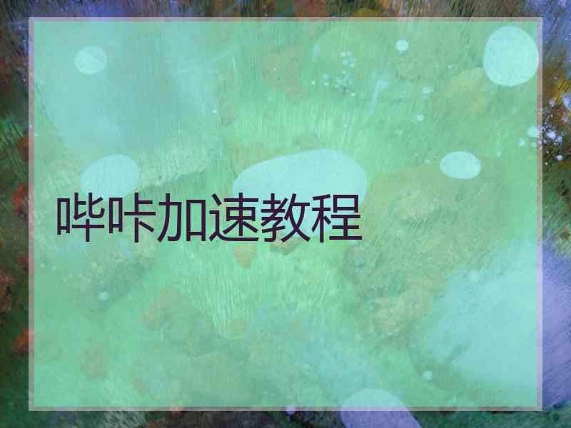 哔咔加速教程
