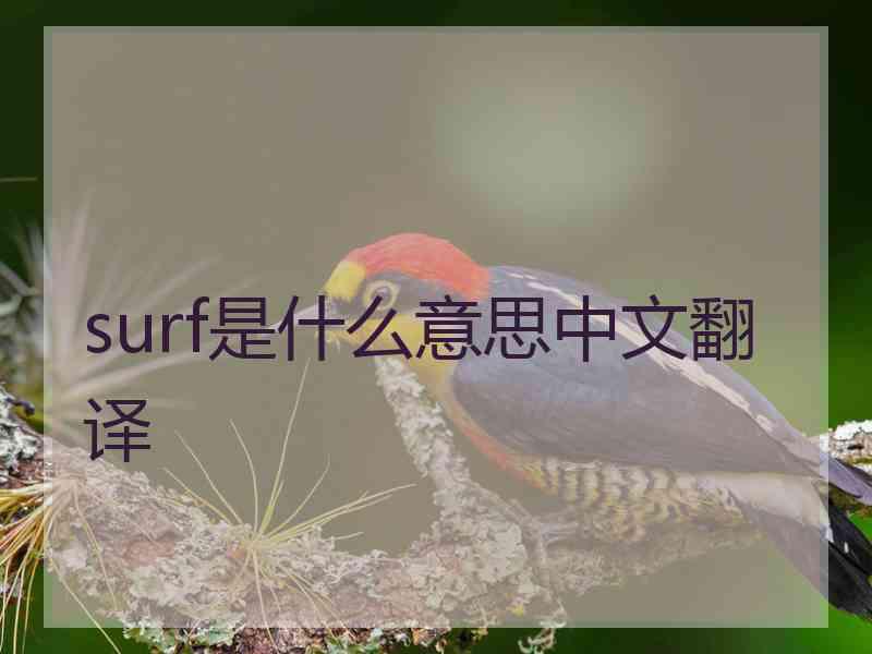 surf是什么意思中文翻译