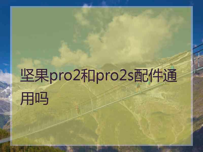 坚果pro2和pro2s配件通用吗