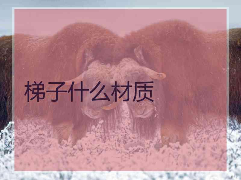 梯子什么材质