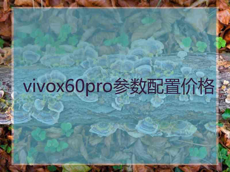 vivox60pro参数配置价格