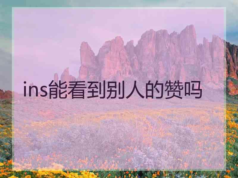 ins能看到别人的赞吗