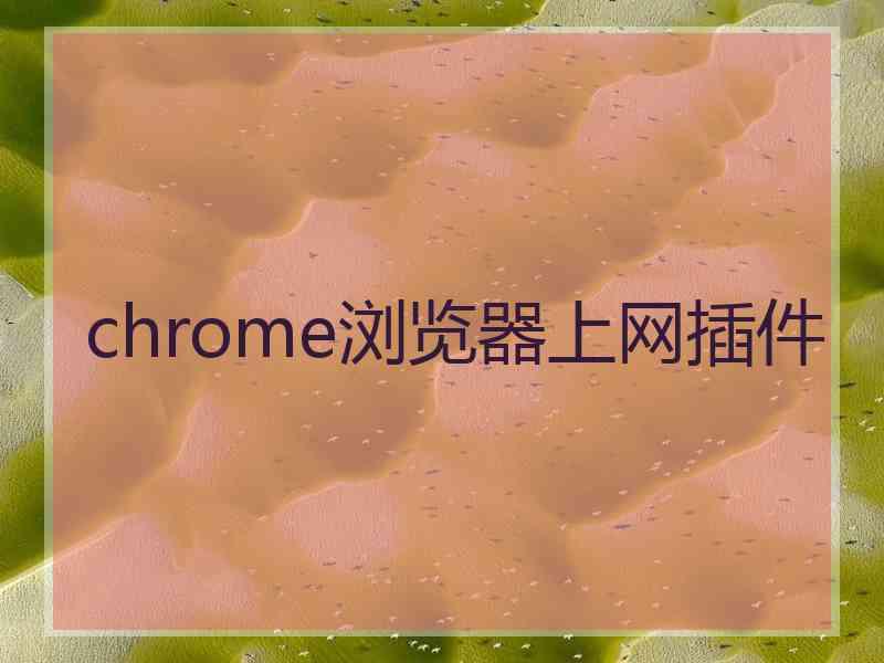 chrome浏览器上网插件