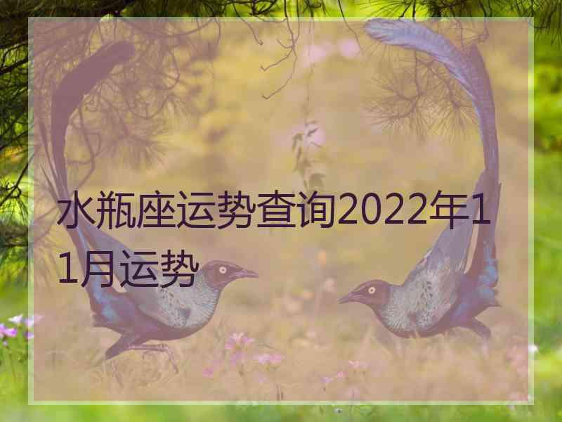 水瓶座运势查询2022年11月运势