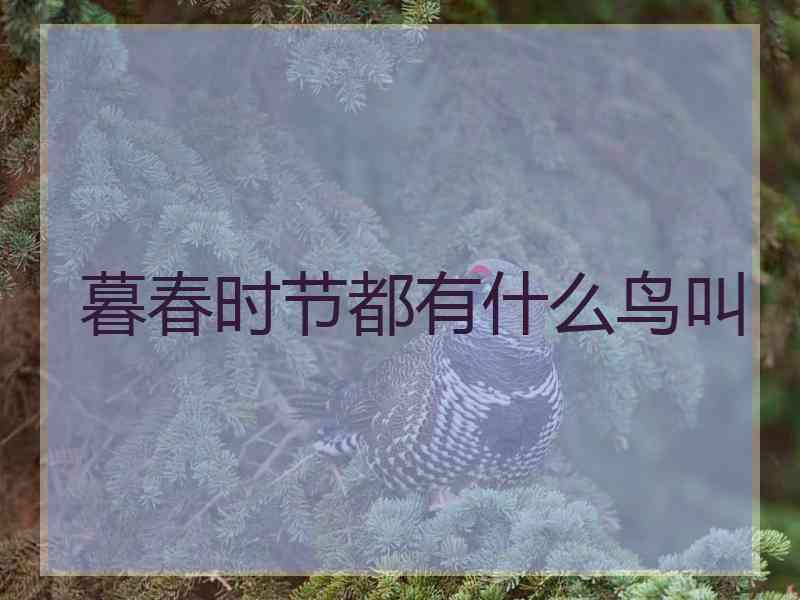 暮春时节都有什么鸟叫
