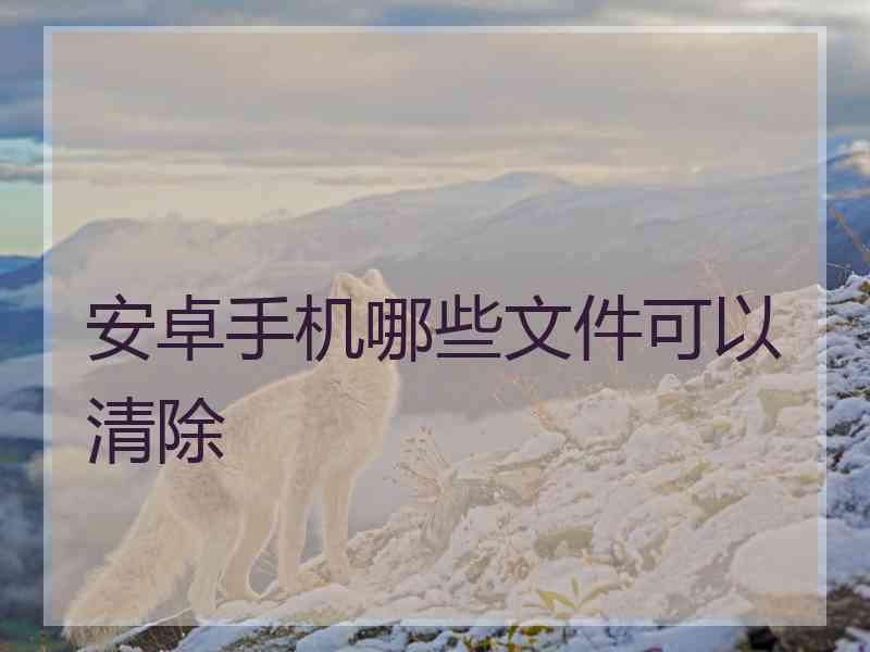 安卓手机哪些文件可以清除