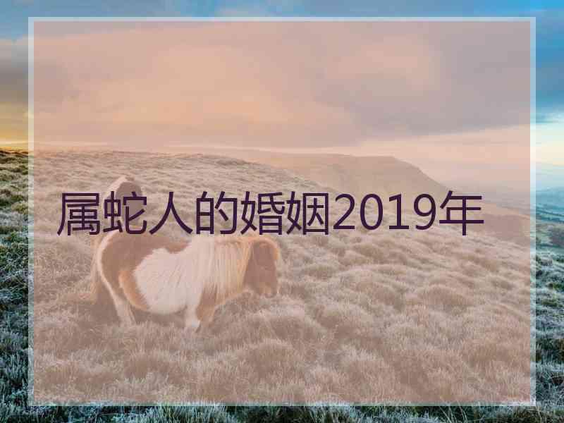 属蛇人的婚姻2019年