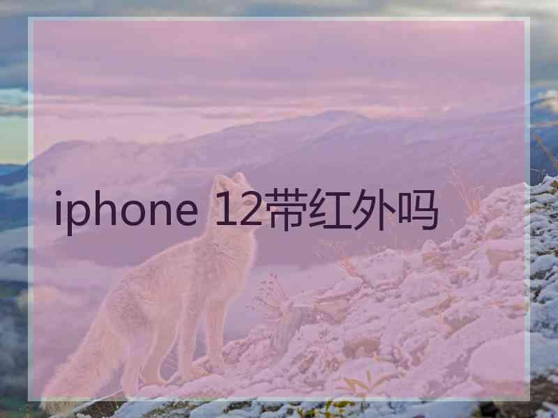 iphone 12带红外吗